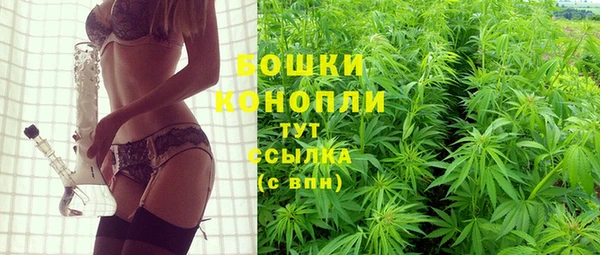 гидропоника Рославль