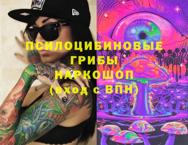 тгк Болохово