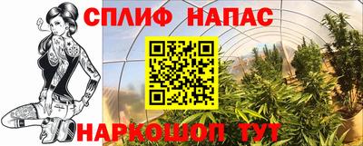 мдма Гатчина