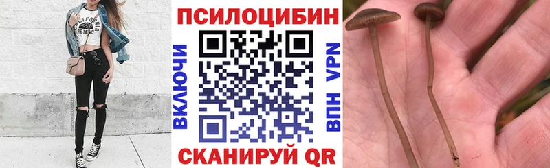 Псилоцибиновые грибы Magic Shrooms  купить наркоту  Кушва 