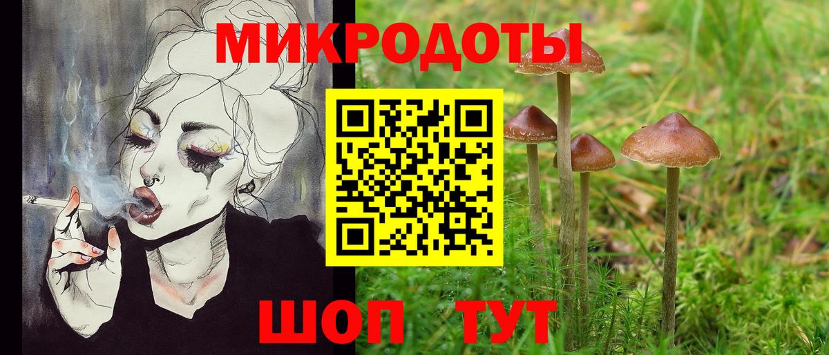 Галлюциногенные грибы Psilocybe Кушва