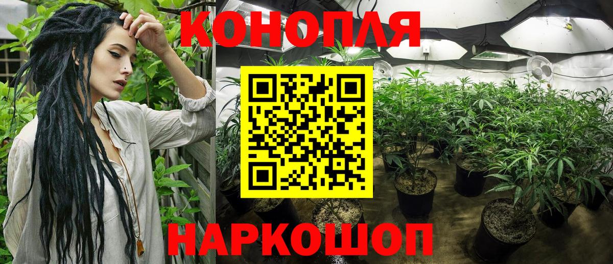 Каннабис OG Kush  Кушва  Канабис White Widow 